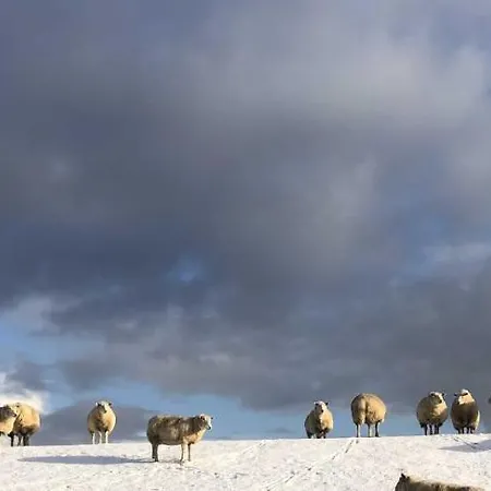 Tief 10 Meerblick Mit Internet 304 Schillig