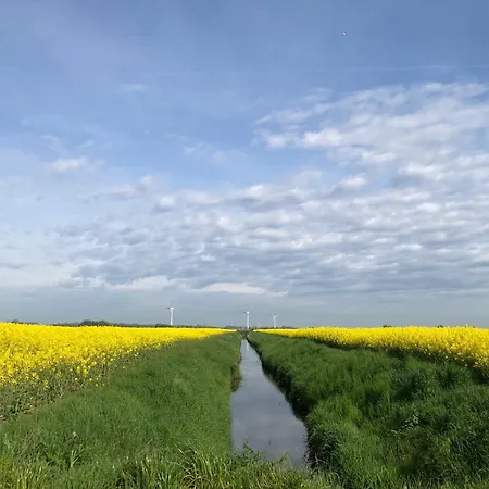 Appartement Tief 10 Meerblick Mit Internet 304
