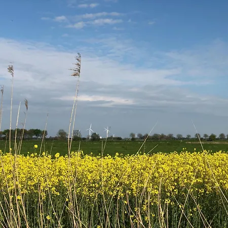 Tief 10 Meerblick Mit Internet 304 Appartement *