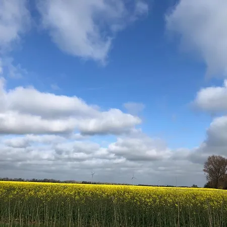 Tief 10 Meerblick Mit Internet 304 Appartement Schillig