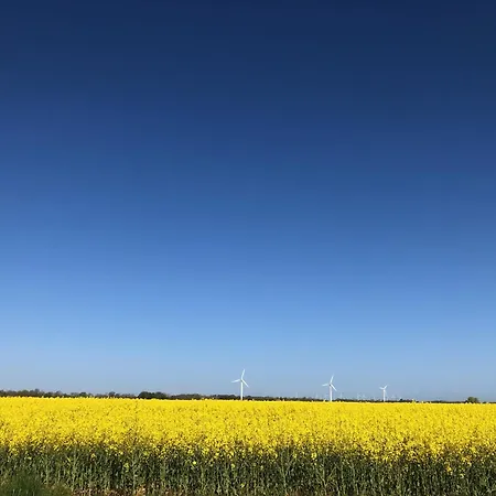 Appartement Tief 10 Meerblick Mit Internet 304