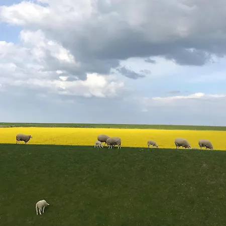 Tief 10 Meerblick Mit Internet 304 Appartement Schillig