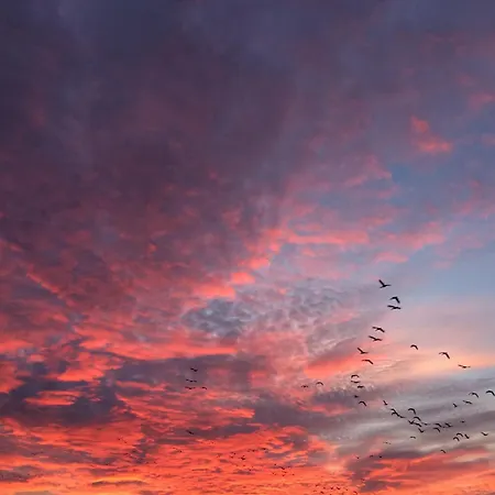 Tief 10 Meerblick Mit Internet 304 Appartement *