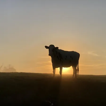 Tief 10 Meerblick Mit Internet 304 * Schillig