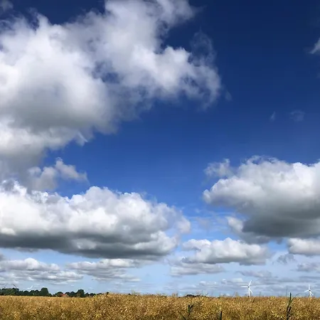 Tief 10 Meerblick Mit Internet 304 Schillig