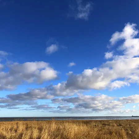 Appartement Tief 10 Meerblick Mit Internet 304 Schillig