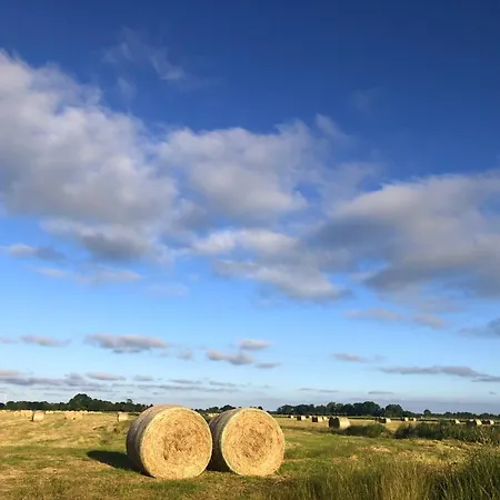 Tief 10 Meerblick Mit Internet 304