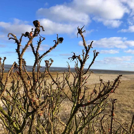 Tief 10 Meerblick Mit Internet 304 Appartement