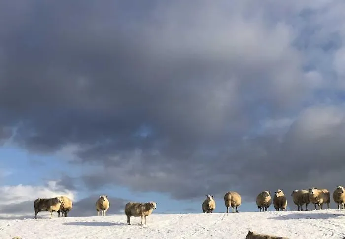 Tief 10 Meerblick Mit Internet 304 Schillig
