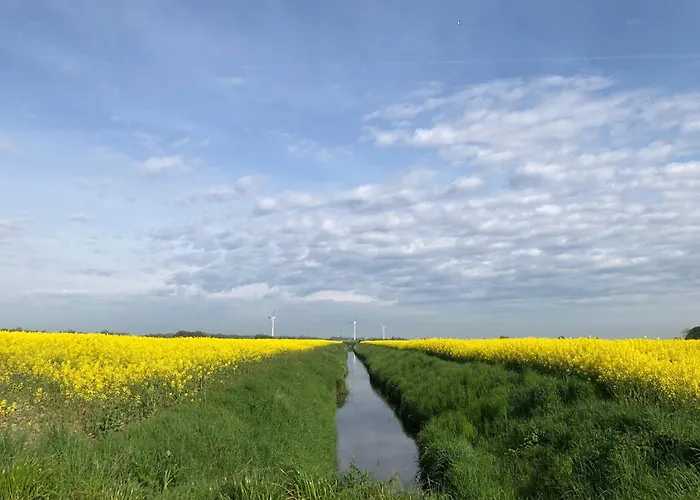 Daire Tief 10 Meerblick Mit Internet 304