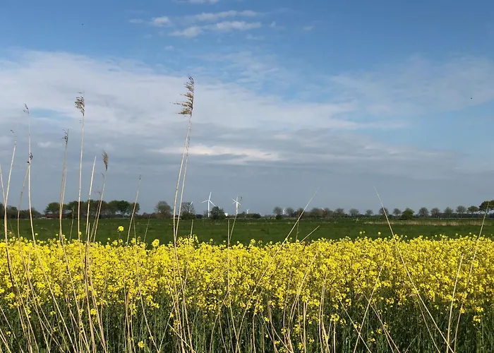Tief 10 Meerblick Mit Internet 304 Daire *
