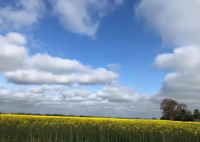 Tief 10 Meerblick Mit Internet 304 Daire Schillig