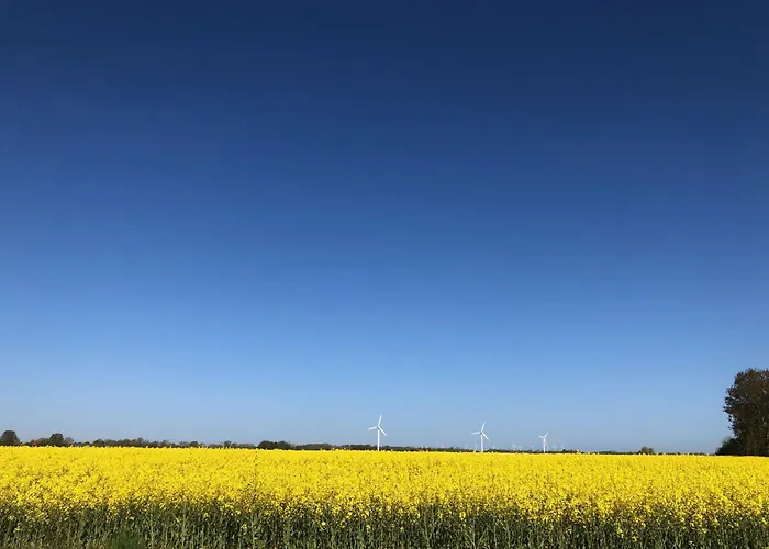 Daire Tief 10 Meerblick Mit Internet 304