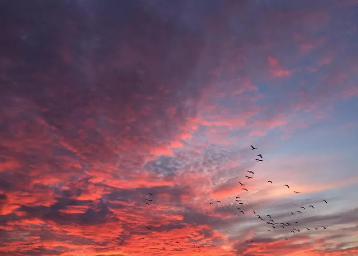 Tief 10 Meerblick Mit Internet 304 Daire *