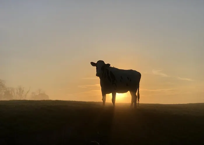 Tief 10 Meerblick Mit Internet 304 * Schillig