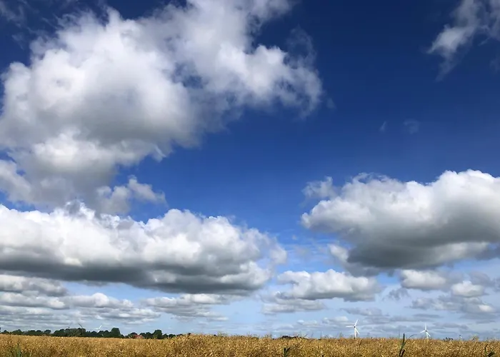 Tief 10 Meerblick Mit Internet 304 Schillig
