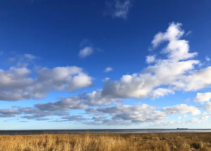 Daire Tief 10 Meerblick Mit Internet 304 Schillig