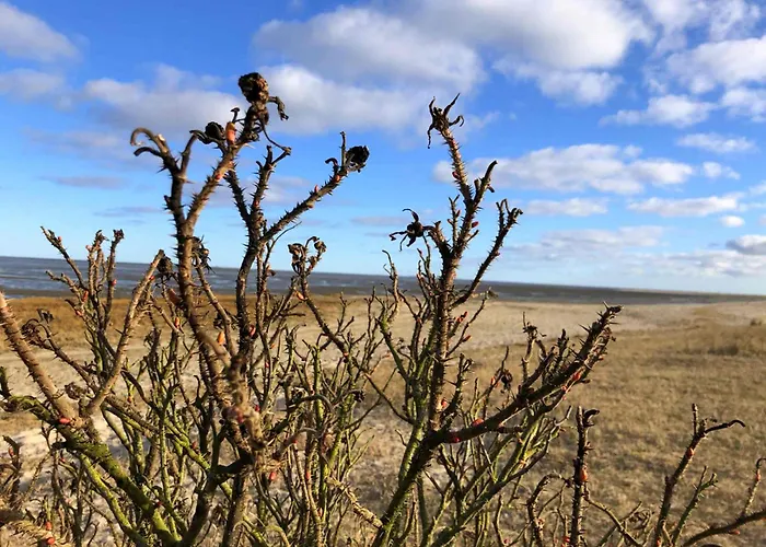Tief 10 Meerblick Mit Internet 304 Daire